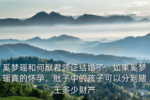 奚夢(mèng)瑤和何猷君領(lǐng)證結(jié)婚了，如果奚夢(mèng)瑤真的懷孕，肚子中的孩子可以分到賭王多少財(cái)產(chǎn)
