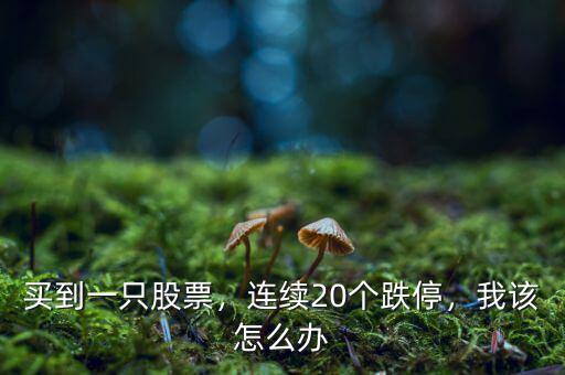 買到一只股票，連續(xù)20個(gè)跌停，我該怎么辦