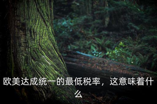 歐美達成統(tǒng)一的最低稅率，這意味著什么