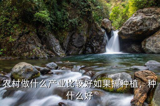 農(nóng)村做什么產(chǎn)業(yè)比較好如果搞種植，種什么好
