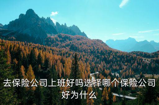 去保險(xiǎn)公司上班好嗎選擇哪個保險(xiǎn)公司好為什么