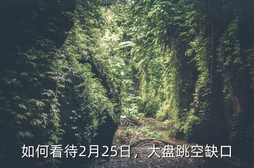 如何看待2月25日，大盤跳空缺口