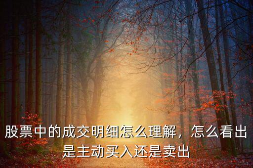 股票中的成交明細(xì)怎么理解，怎么看出是主動(dòng)買入還是賣出