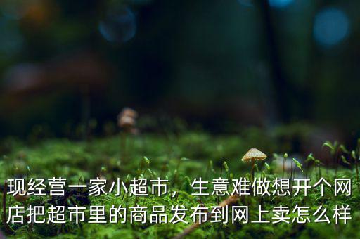 現(xiàn)經(jīng)營一家小超市，生意難做想開個網(wǎng)店把超市里的商品發(fā)布到網(wǎng)上賣怎么樣