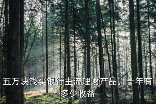 五萬塊錢買銀行主流理財(cái)產(chǎn)品，一年有多少收益