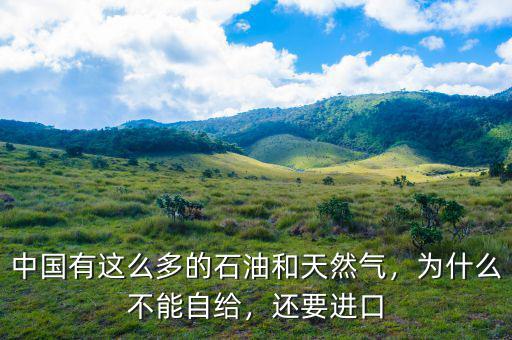 中國有這么多的石油和天然氣，為什么不能自給，還要進口