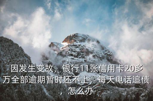 因發(fā)生變故，銀行11張信用卡20多萬全部逾期暫時還不上，每天電話追債，怎么辦
