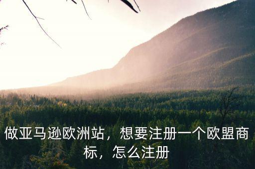 做亞馬遜歐洲站，想要注冊一個(gè)歐盟商標(biāo)，怎么注冊