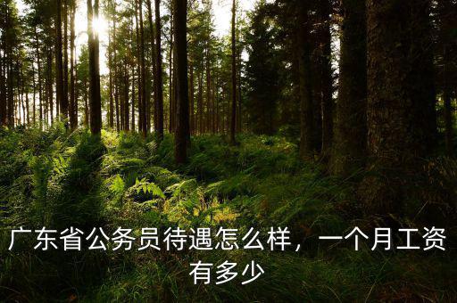 廣東省公務(wù)員待遇怎么樣，一個(gè)月工資有多少