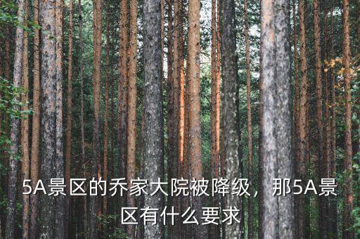 5A景區(qū)的喬家大院被降級(jí)，那5A景區(qū)有什么要求