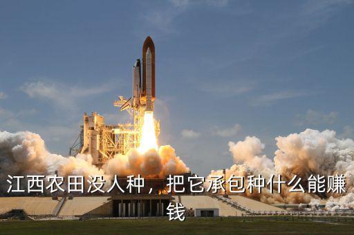 江西農(nóng)田沒人種，把它承包種什么能賺錢