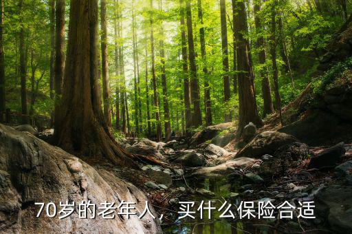 70歲的老年人，買什么保險(xiǎn)合適