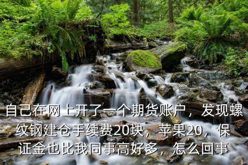 自己在網(wǎng)上開了一個(gè)期貨賬戶，發(fā)現(xiàn)螺紋鋼建倉手續(xù)費(fèi)20塊，蘋果20，保證金也比我同事高好多，怎么回事