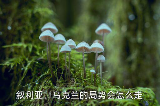 敘利亞、烏克蘭的局勢會怎么走