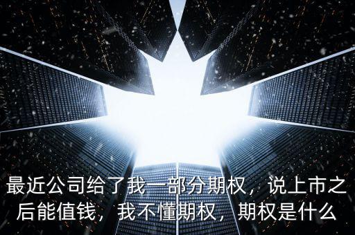 最近公司給了我一部分期權(quán)，說(shuō)上市之后能值錢，我不懂期權(quán)，期權(quán)是什么