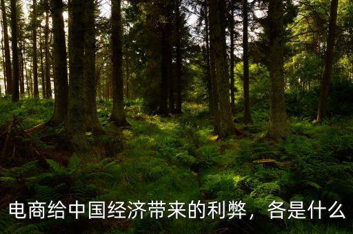 電商給中國經(jīng)濟(jì)帶來的利弊，各是什么