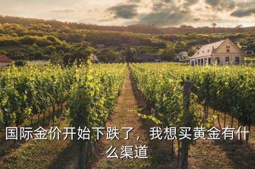 國際金價(jià)開始下跌了，我想買黃金有什么渠道