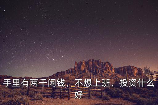 手里有兩千閑錢(qián)，不想上班，投資什么好