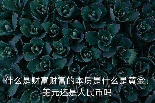什么是財富財富的本質(zhì)是什么是黃金、美元還是人民幣嗎