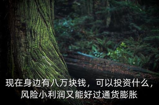 現(xiàn)在身邊有八萬塊錢，可以投資什么，風(fēng)險(xiǎn)小利潤又能好過通貨膨脹