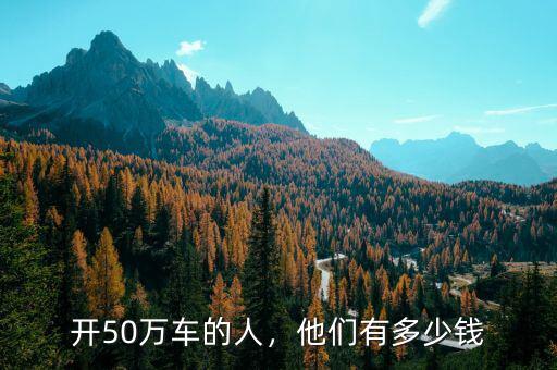 開50萬車的人，他們有多少錢