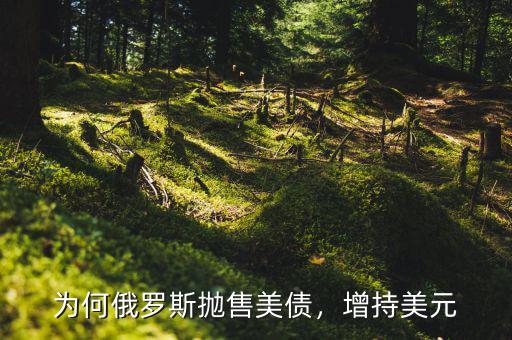 為何俄羅斯拋售美債，增持美元