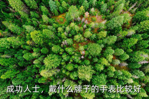 成功人士，戴什么牌子的手表比較好
