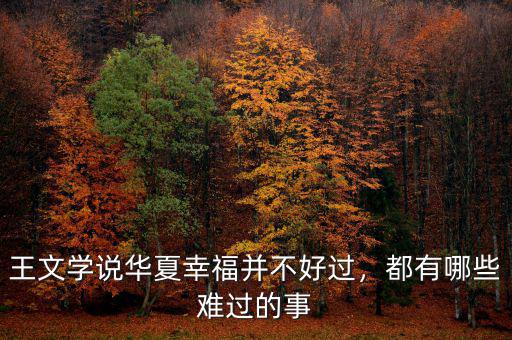 王文學(xué)說(shuō)華夏幸福并不好過(guò)，都有哪些難過(guò)的事