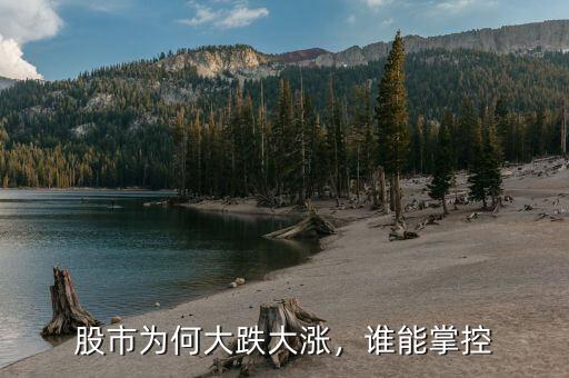 股市為何大跌大漲，誰能掌控