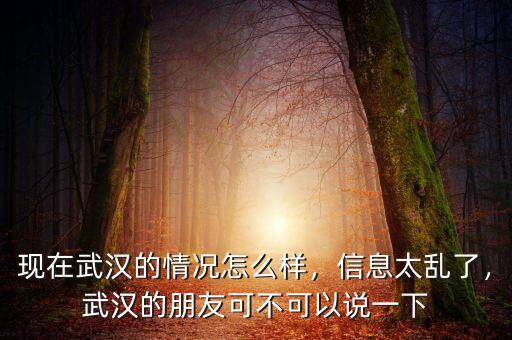 現(xiàn)在武漢的情況怎么樣，信息太亂了，武漢的朋友可不可以說(shuō)一下