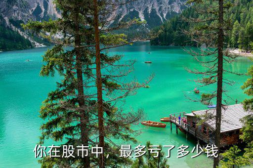你在股市中，最多虧了多少錢