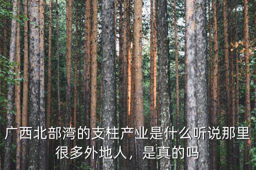 廣西北部灣的支柱產(chǎn)業(yè)是什么聽(tīng)說(shuō)那里很多外地人，是真的嗎