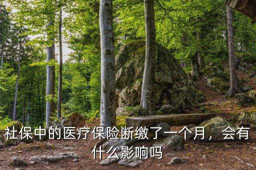 社保中的醫(yī)療保險(xiǎn)斷繳了一個(gè)月，會(huì)有什么影響嗎