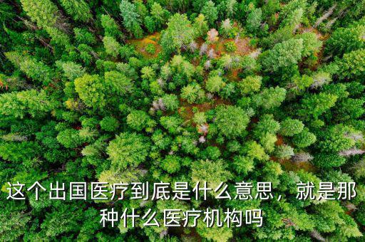 這個(gè)出國(guó)醫(yī)療到底是什么意思，就是那種什么醫(yī)療機(jī)構(gòu)嗎