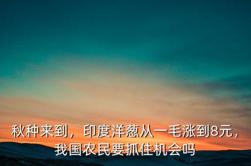 秋種來到，印度洋蔥從一毛漲到8元，我國農(nóng)民要抓住機(jī)會嗎