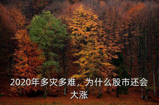 2020年多災(zāi)多難，為什么股市還會(huì)大漲