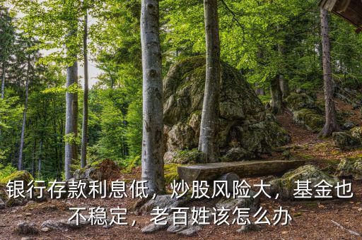 銀行存款利息低，炒股風(fēng)險大，基金也不穩(wěn)定，老百姓該怎么辦