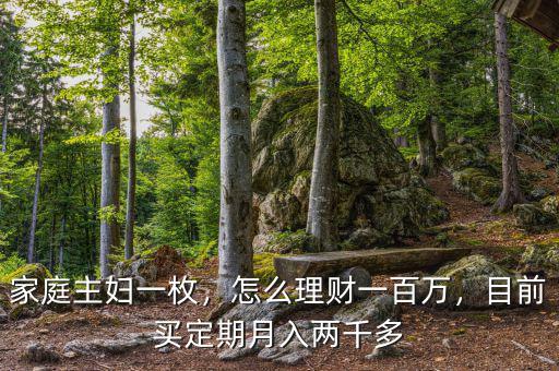 家庭主婦一枚，怎么理財一百萬，目前買定期月入兩千多