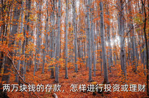 兩萬(wàn)塊錢的存款，怎樣進(jìn)行投資或理財(cái)