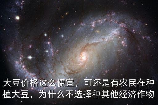 大豆價格這么便宜，可還是有農(nóng)民在種植大豆，為什么不選擇種其他經(jīng)濟作物