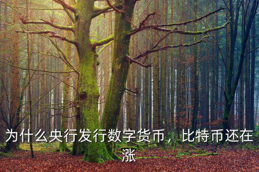 為什么央行發(fā)行數(shù)字貨幣，比特幣還在漲
