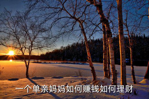 一個單親媽媽如何賺錢如何理財(cái)