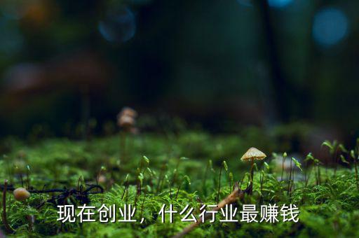 現(xiàn)在創(chuàng)業(yè)，什么行業(yè)最賺錢