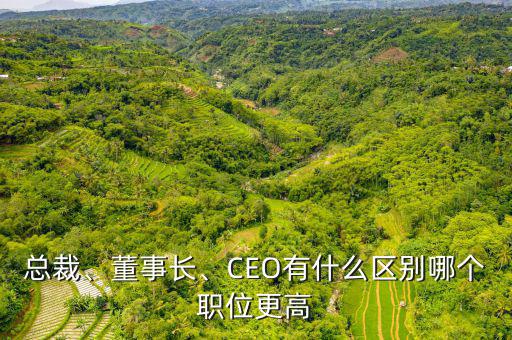 總裁、董事長、CEO有什么區(qū)別哪個職位更高