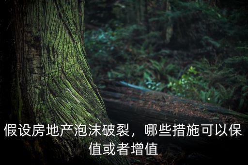 假設(shè)房地產(chǎn)泡沫破裂，哪些措施可以保值或者增值