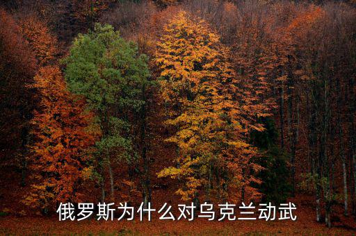 為什么俄羅斯要對烏克蘭動(dòng)武,俄羅斯為什么對烏克蘭動(dòng)武