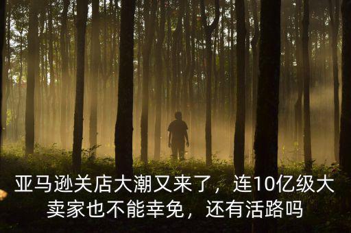 亞馬遜關(guān)店大潮又來了，連10億級大賣家也不能幸免，還有活路嗎