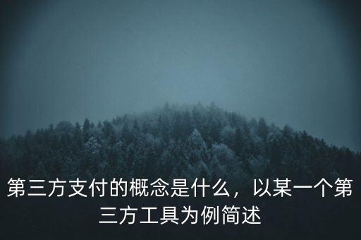 第三方支付的概念是什么，以某一個第三方工具為例簡述