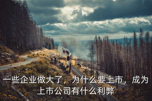 一些企業(yè)做大了，為什么要上市，成為上市公司有什么利弊