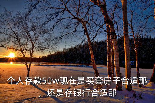 個(gè)人存款50w現(xiàn)在是買(mǎi)套房子合適那，還是存銀行合適那